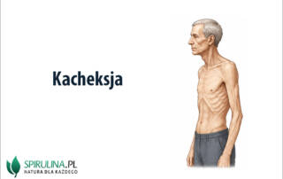 Kacheksja