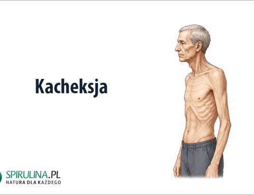 Kacheksja