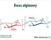 Kwas alginowy