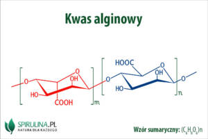 Kwas alginowy