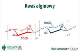 Kwas alginowy
