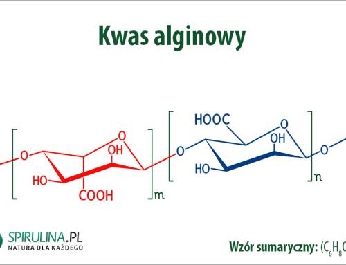 Kwas alginowy