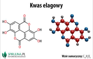 Kwas elagowy