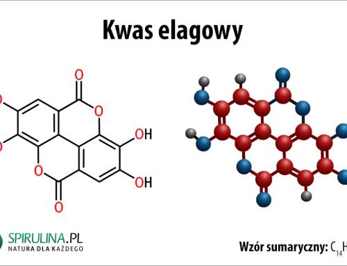 Kwas elagowy