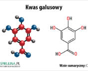 Kwas galusowy