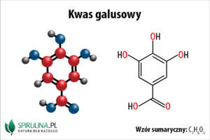 Kwas galusowy