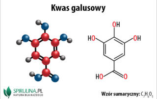 Kwas galusowy
