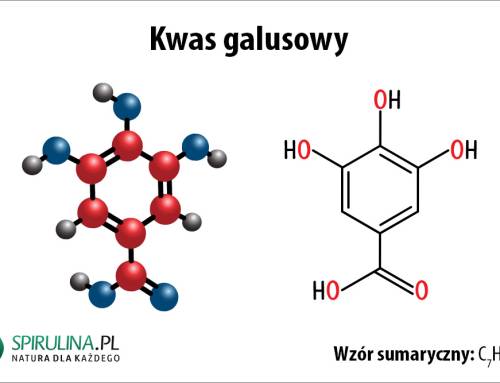 Kwas galusowy