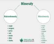 Makroelementy