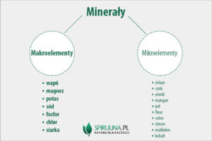 Makroelementy