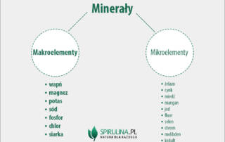 Makroelementy