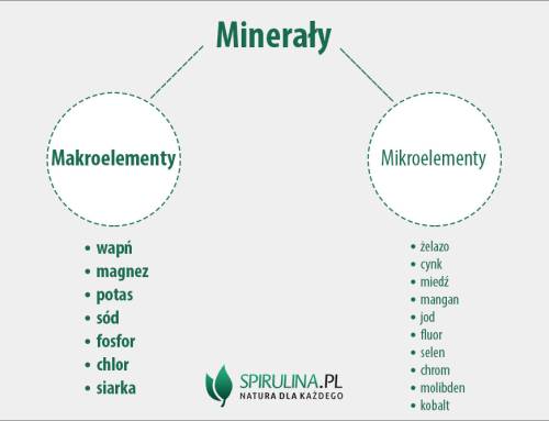 Makroelementy
