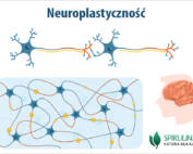 Neuroplastyczność