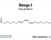 Omega 5