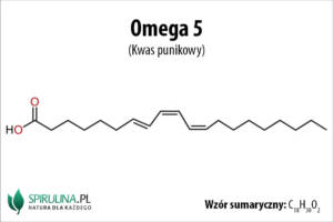 Omega 5