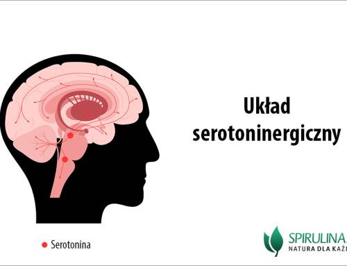 Układ serotoninergiczny