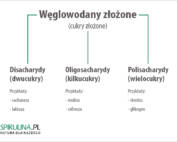 Węglowodany złożone