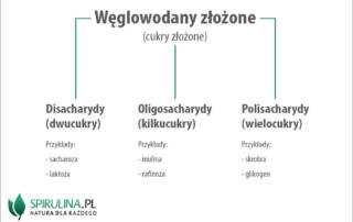 Węglowodany złożone