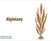 Alginiany