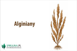 Alginiany