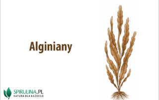 Alginiany