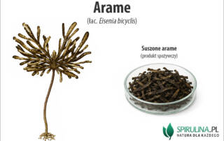 Arame