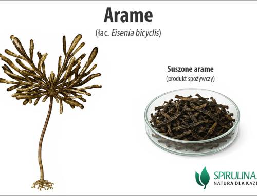 Arame