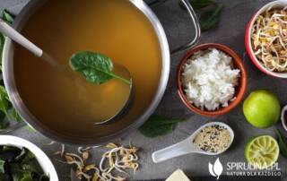 Bulion dashi