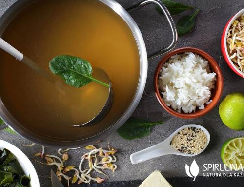 Bulion dashi