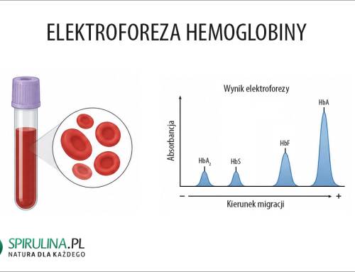 Elektroforeza hemoglobiny
