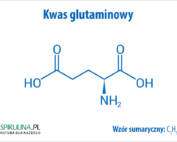 Kwas glutaminowy