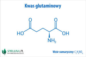Kwas glutaminowy