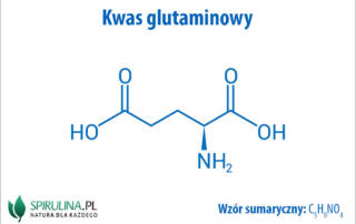 Kwas glutaminowy