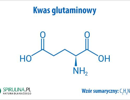 Kwas glutaminowy