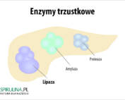Lipaza trzustkowa