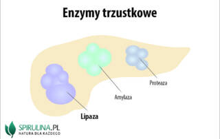 Lipaza trzustkowa
