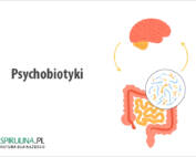 Psychobiotyki