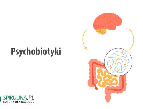 Psychobiotyki
