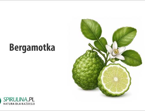 Bergamotka
