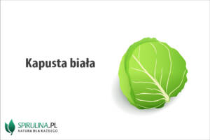 Kapusta biała