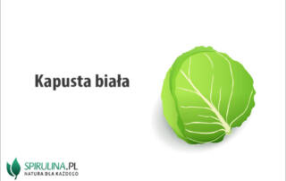 Kapusta biała