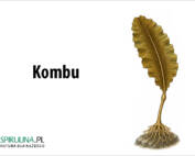 Kombu