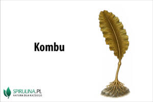 Kombu