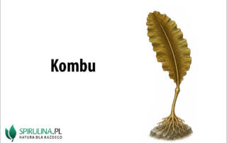 Kombu