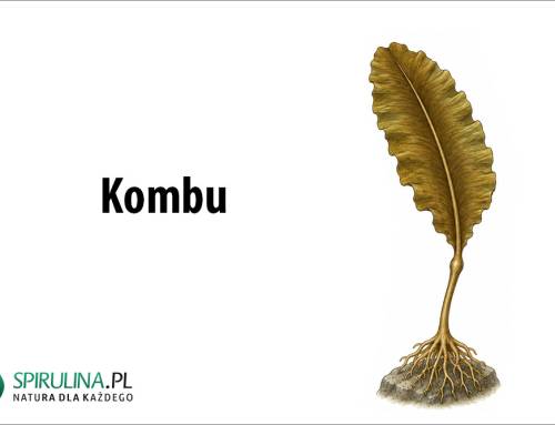Kombu
