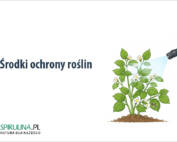 Środki ochrony roślin