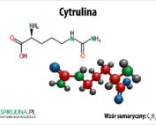 Cytrulina