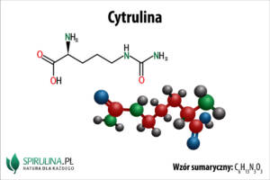 Cytrulina
