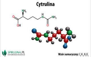 Cytrulina