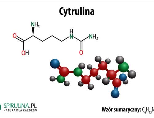 Cytrulina